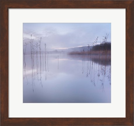 Framed Reflections in a Lake 1 Print