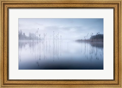 Framed Reflections in a Lake 2 Print