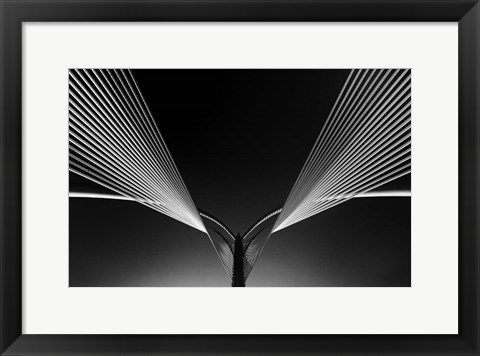 Framed Wings Print