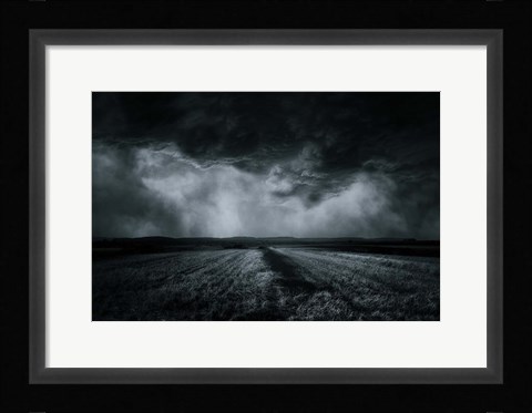 Framed Field Print
