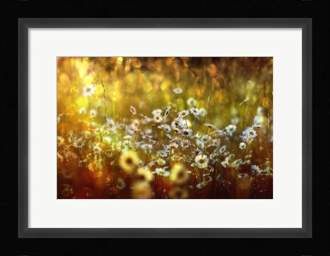 Framed Wonderland Print