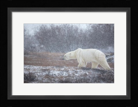 Framed Let it Snow! Print
