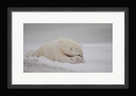 Framed Now You See Me Print