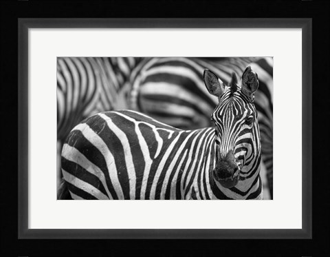 Framed Stripes Print