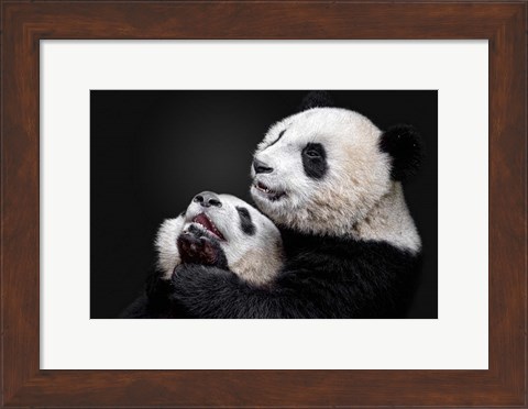 Framed Pandas Print