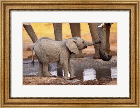 Framed Play with Me, Please! Print