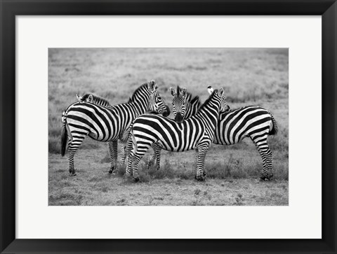Framed Stripes Print