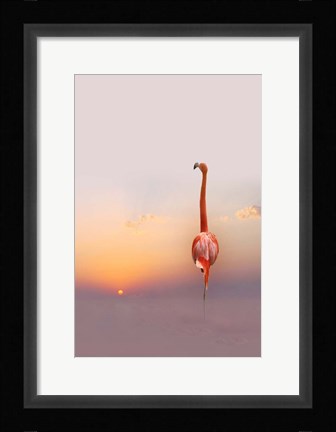 Framed Sunset Print