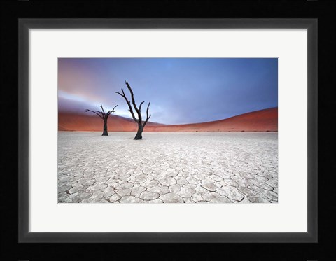 Framed Mist over Deadvlei Print