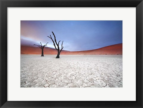 Framed Mist over Deadvlei Print