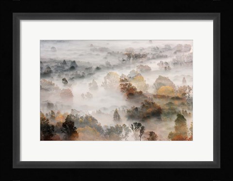 Framed Autumns Print