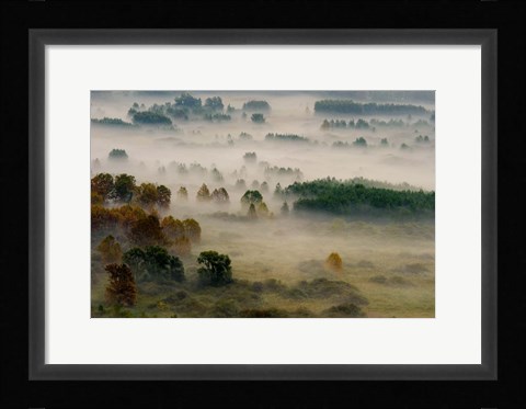 Framed Autumn Dream Print