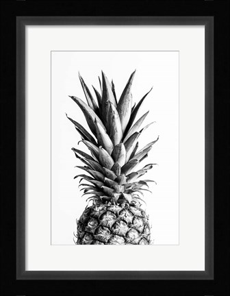 Framed Pineapple Black a White 1 Print