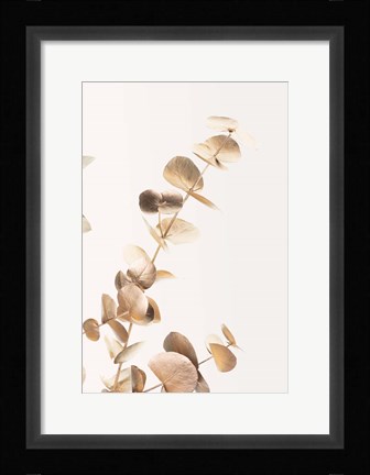 Framed Eucalyptus Gold No 3 Print