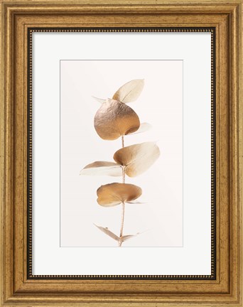 Framed Eucalyptus Gold No 6 Print