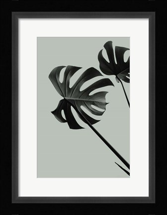 Framed Monstera Teal 9 Print
