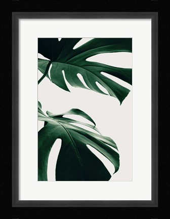 Framed Monstera Natural 12 Print