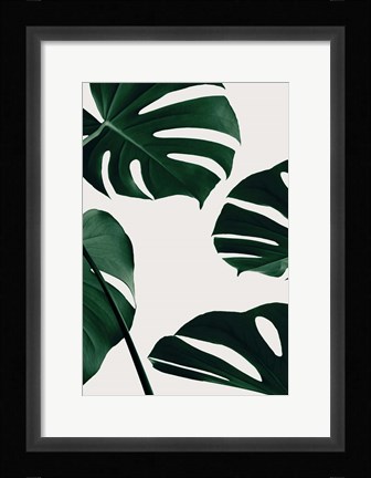 Framed Monstera Natural 2 Print