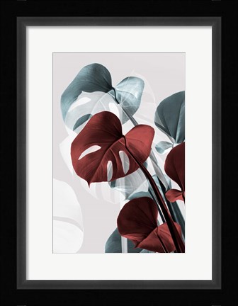 Framed Monstera Creative 15 Print