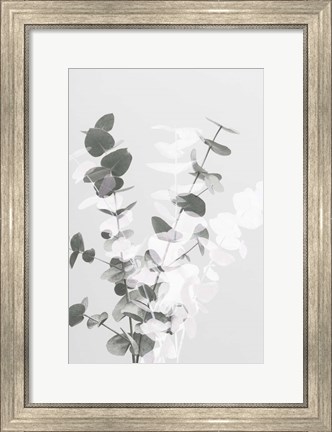 Framed Eucalyptus Creative 8 Print