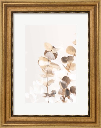 Framed Eucalyptus Creative Gold 1 Print