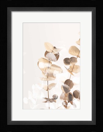 Framed Eucalyptus Creative Gold 1 Print