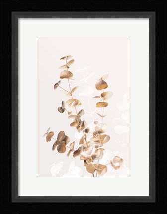 Framed Eucalyptus Creative Gold 3 Print