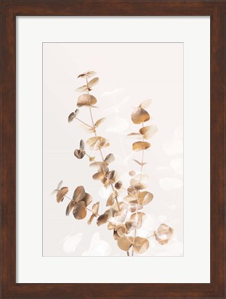 Framed Eucalyptus Creative Gold 3 Print