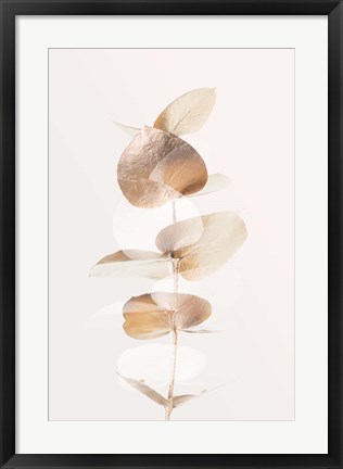 Framed Eucalyptus Creative Gold 4 Print