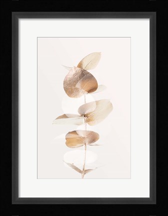 Framed Eucalyptus Creative Gold 4 Print