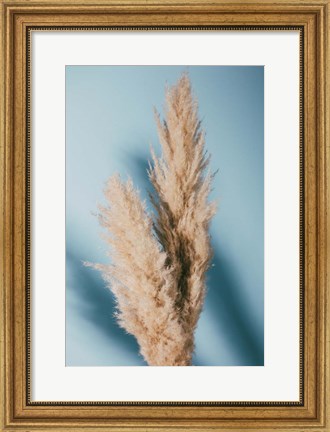 Framed Pampas Grass Blue Print