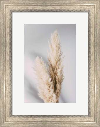 Framed Pampas Grass Grey Print