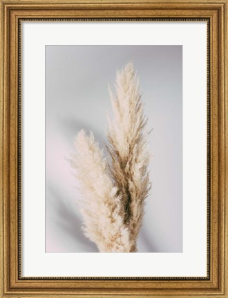 Framed Pampas Grass Grey Print