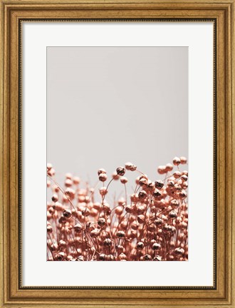Framed Dried Grass Copper 4 Print