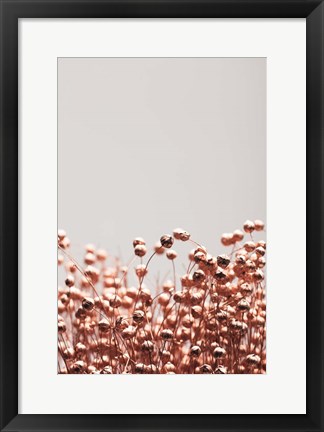 Framed Dried Grass Copper 4 Print