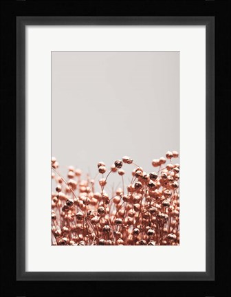 Framed Dried Grass Copper 4 Print