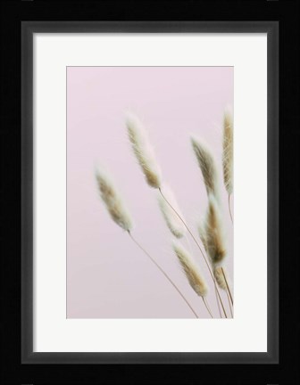 Framed Bunny Grass Pink 2 Print