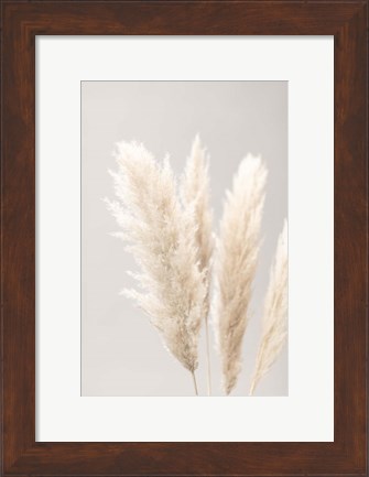 Framed Pampas Grass Grey 2 Print