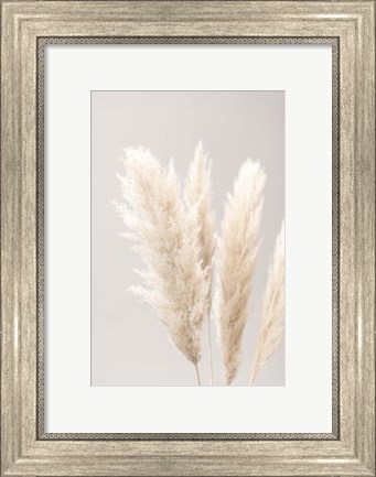 Framed Pampas Grass Grey 2 Print