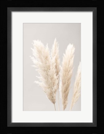 Framed Pampas Grass Grey 2 Print