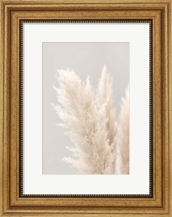 Framed Pampas Grass Grey 3 Print