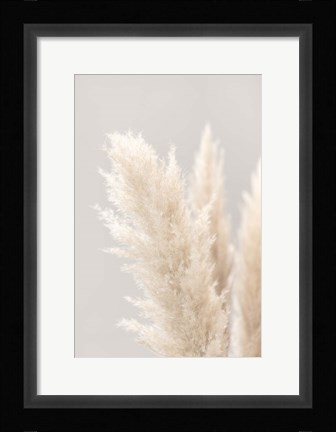 Framed Pampas Grass Grey 3 Print