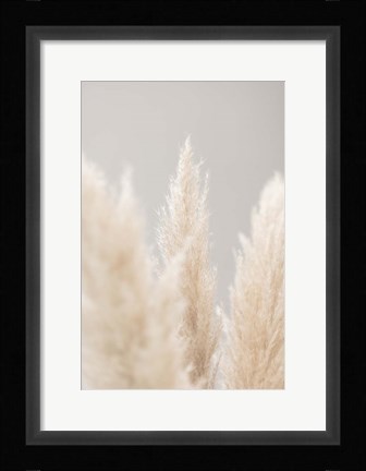 Framed Pampas Grass Grey 4 Print