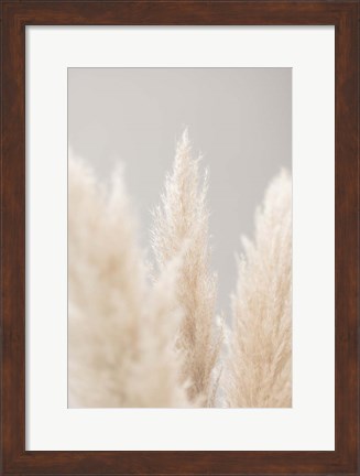 Framed Pampas Grass Grey 4 Print