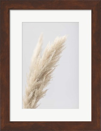 Framed Pampas Grass Grey 7 Print