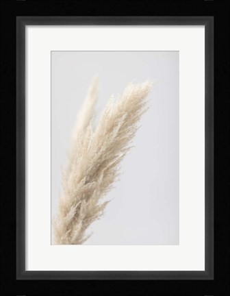 Framed Pampas Grass Grey 7 Print