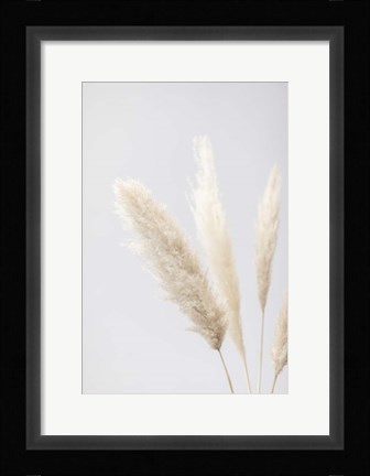 Framed Pampas Grass Grey 8 Print