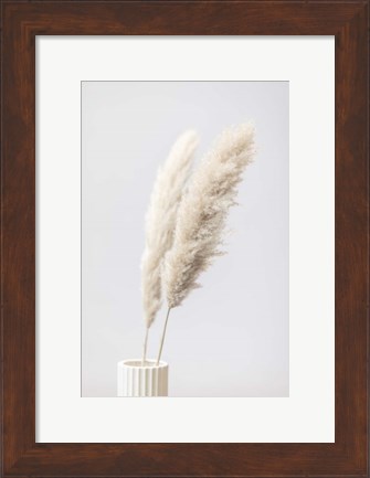 Framed Pampas Grass Grey 11 Print