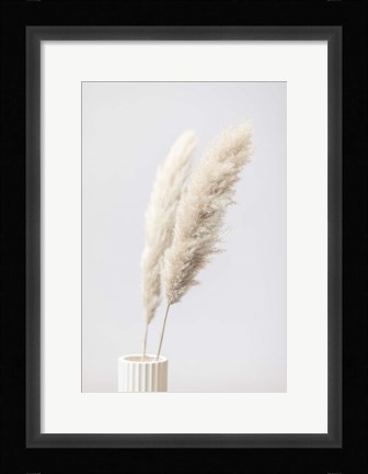 Framed Pampas Grass Grey 11 Print