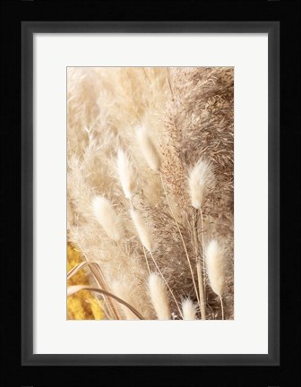 Framed Dried Bouquet Print